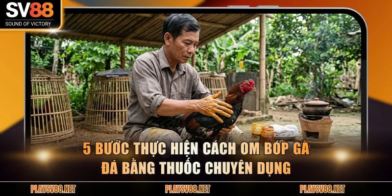 5 bước thực hiện cách om bóp gà đá bằng thuốc chuyên dụng