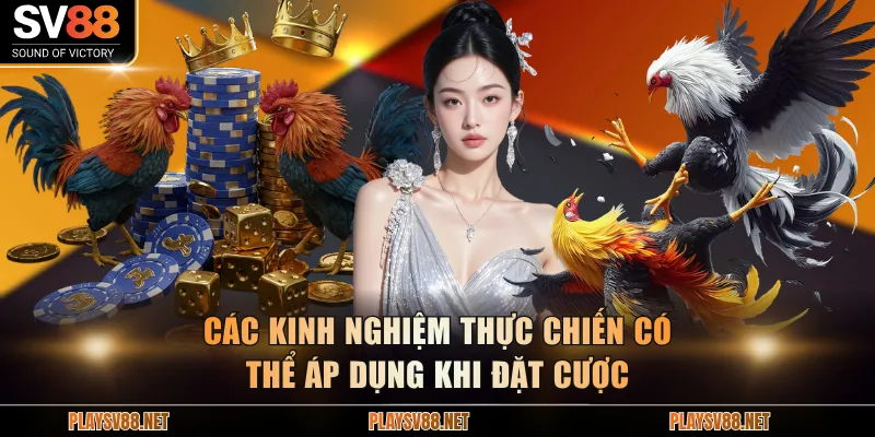 Các kinh nghiệm thực chiến có thể áp dụng khi đặt cược
