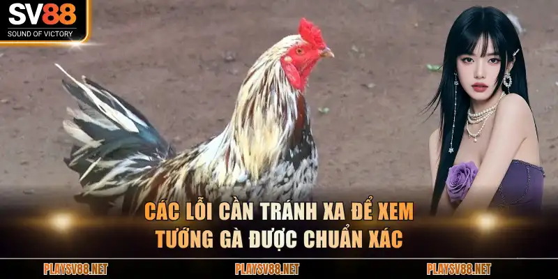 Các lỗi cần tránh xa để xem tướng gà được chuẩn xác