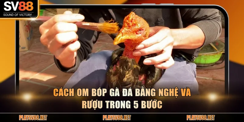 Cách om bóp gà đá bằng nghệ và rượu trong 5 bước