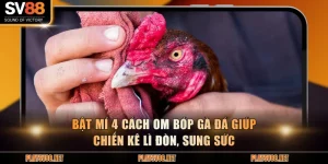 cách om bóp gà đá