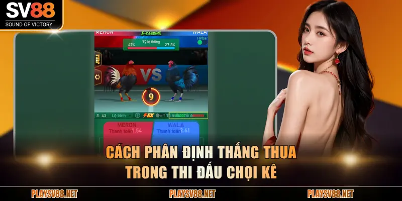 Cách phân định thắng thua trong thi đấu chọi kê