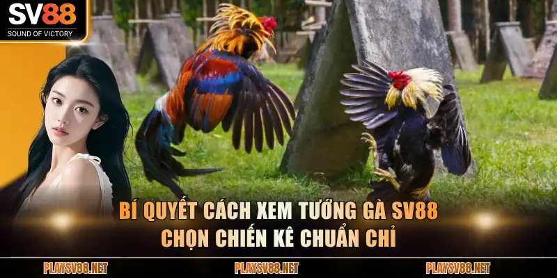 Cách xem tướng gà