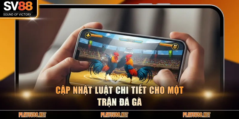 Cập nhật luật chi tiết cho một trận đá gà