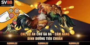 Chế độ ăn cho gà đá