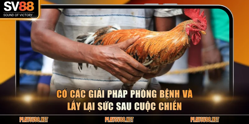 Có các giải pháp phòng bệnh và lấy lại sức sau cuộc chiến