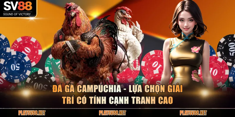 Đá gà Campuchia - Lựa chọn giải trí có tính cạnh tranh cao