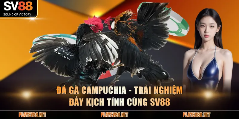 Đá gà Campuchia
