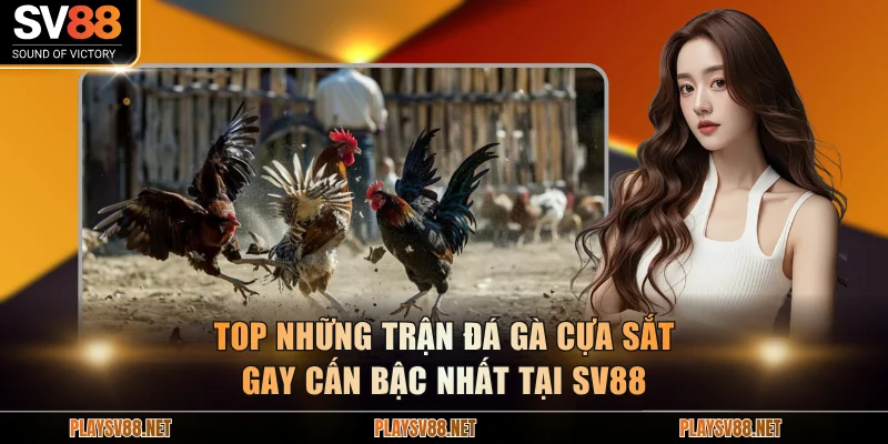 đá gà cựa sắt