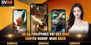 Đá gà Philippines