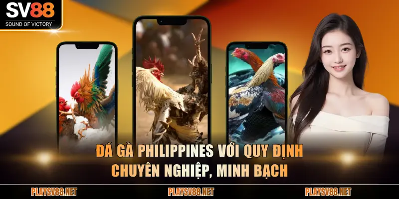 Đá gà Philippines