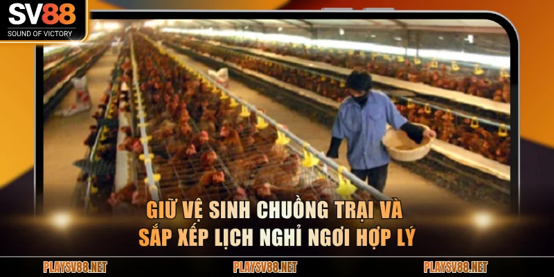 Giữ vệ sinh chuồng trại và sắp xếp lịch nghỉ ngơi hợp lý