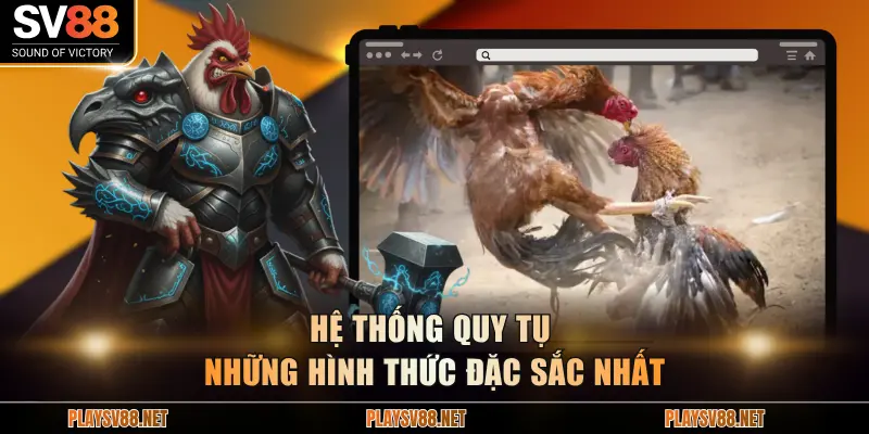 Hệ thống quy tụ những hình thức đặc sắc nhất