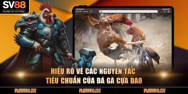 Hiểu rõ về các nguyên tắc tiêu chuẩn của đá gà cựa daoHiểu rõ về các nguyên tắc tiêu chuẩn của đá gà cựa dao