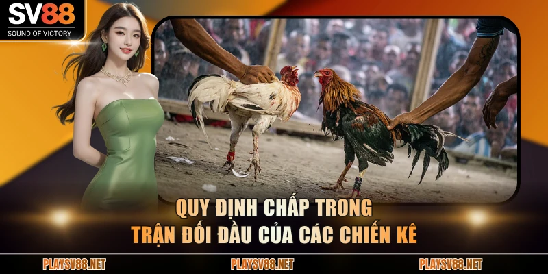 Quy định chấp trong trận đối đầu của các chiến kê