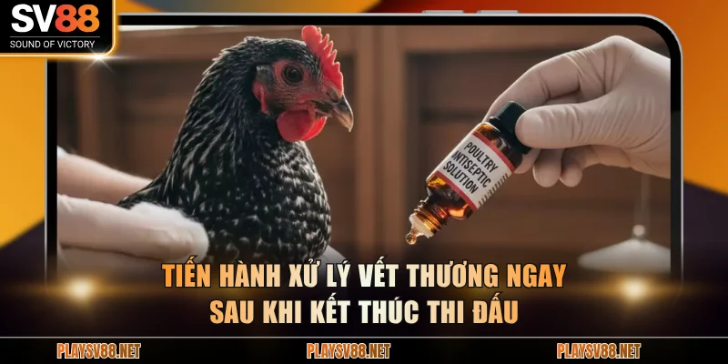 Tiến hành xử lý vết thương ngay sau khi kết thúc thi đấu