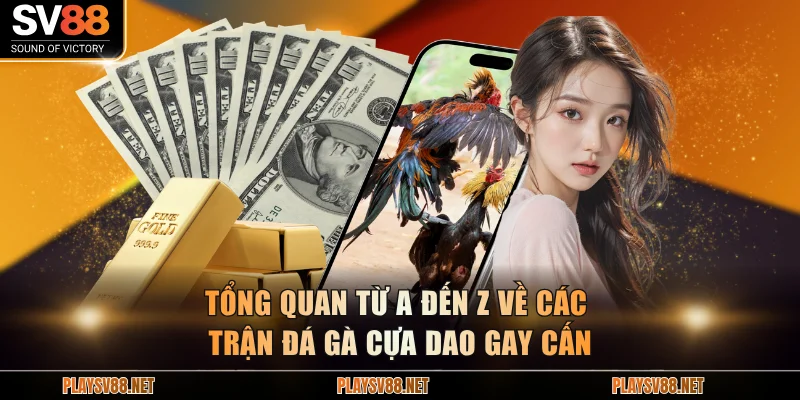 Tổng quan từ A đến Z về các trận đá gà cựa dao gay cấn