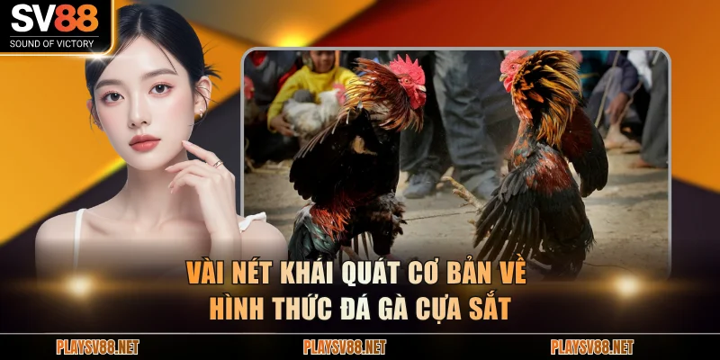 Vài nét khái quát cơ bản về hình thức đá gà cựa sắt